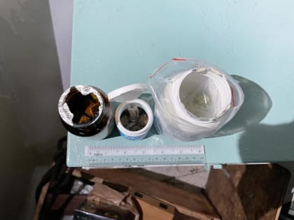 Сотрудниками Пограничного управления ФСБ России пресечена контрабанда наркотических средств в значительном размере