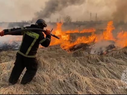 Мурманские спасатели почти за полчаса ликвидировали пожар на Зелёной