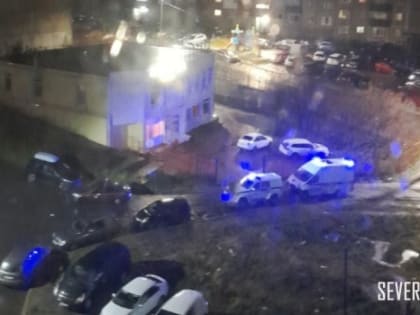 Минувшей ночью в одном из заведений Североморска мужчине выстрелили в голову