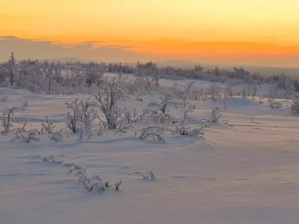 В Никеле побит суточный максимум по температуре воздуха