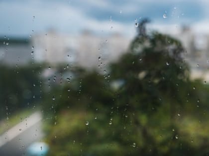 Дождливой будет новая неделя в Мурманске