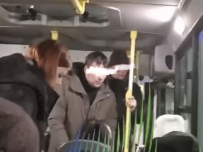 Напали на женщину в маршрутке в Мурмаши два брата-дебошира