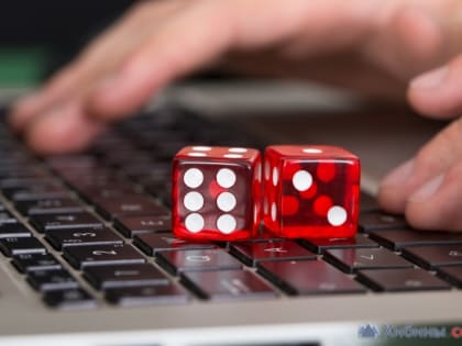 24-летняя жительница Оленегорска попалась на организации азартных игр