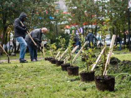 В Мурманске пройдет акция «Зеленый рекорд»
