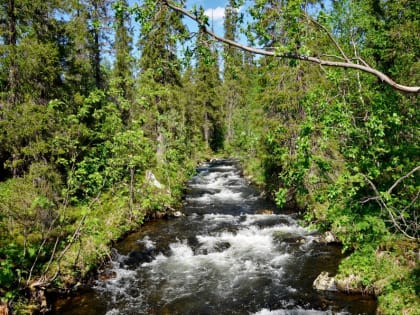 Чрезвычайный класс пожарной опасности ожидается в Мурманской области