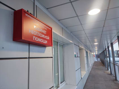 Медучреждения Мурманской области меняют режим работы на новогодние праздники