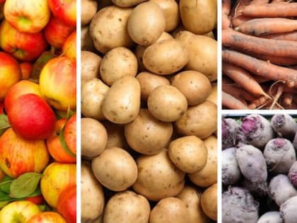 В Мурманской области дешевеют продукты в магазинах