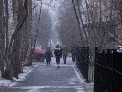 Мурманский гастроэнтеролог о самых распространенных болезнях ЖКТ у северян