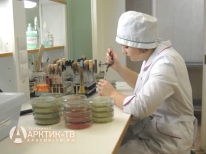 Отдыхаем мы, «отдыхают» и вирусы!