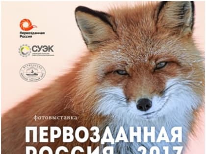 В Мурманской области  работает  фотовыставка «Первозданная Россия-2017»