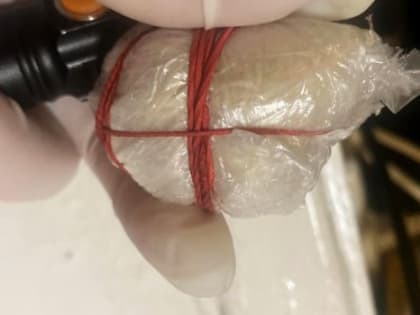 В Североморске задержан местный житель, подозреваемый в незаконном хранении наркотических средств