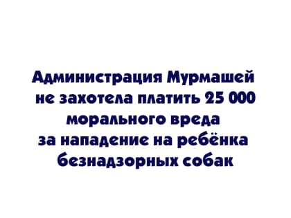 Администрация Мурмашей не захотела платить 25 000 за нападение на ребёнка безнадзорных собак