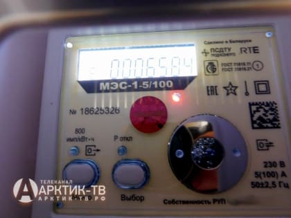 В Мурманской области возбуждено три уголовных дела по фактам хищения приборов учёта электроэнергии