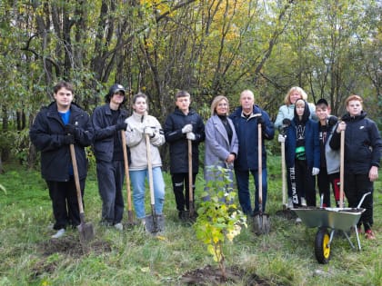 На территории мурманской школы-интерната высадили кустарники
