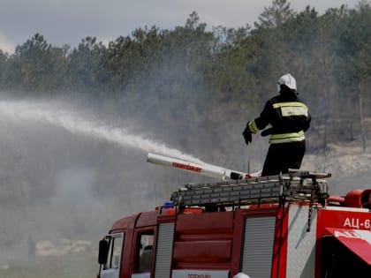 В Апатитах на базе «Дроздович» горело здание