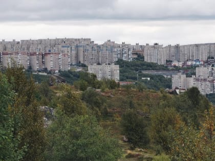 Подросток из Мурманска помог задержать преступника