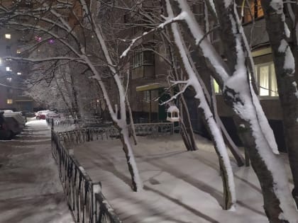 Прогноз погоды в Мурманске на 1 февраля