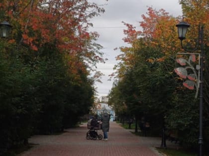 Сегодня в Мурманской области ожидается до +12°