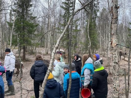 День народного единства в Мурманске: праздник для детей