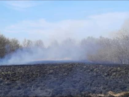 Возле Заполярного пожарные дважды выезжали тушить пламя