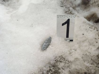 В Апатитах наркополицейскими пресечен факт незаконного оборота наркотических средств в крупном размере