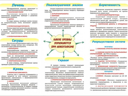 11 сентября - Всемирный день трезвости и борьбы с алкоголизмом