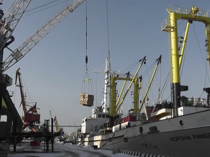 Требует более детального обсуждения: в Росрыболовстве могут провести отдельное совещание по запрету промышленного лова семги в Мурманской области