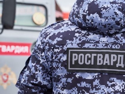 Росгвардейцы задержали мужчину, регулярно совершавшего хищения из магазина