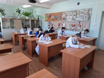 Олимпиада по учебной дисциплине «Анатомия и физиология человека»