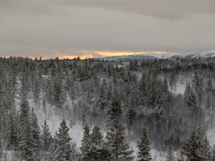 Мурманскую область ждёт потепление и снегопад