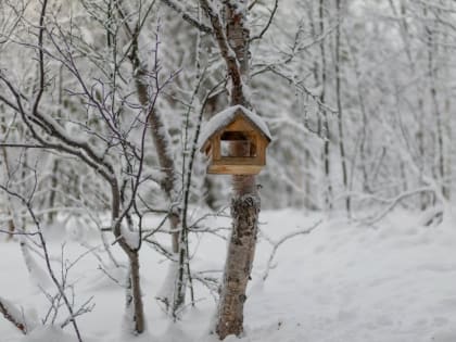 В Мурманске +5,3° - побит суточный температурный максимум