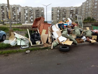 Североморск и поселки «утопают» в мусоре