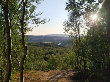 Прогноз погоды в Мурманске на 17 июля