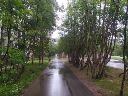 Прогноз погоды в Мурманске на 16 июля