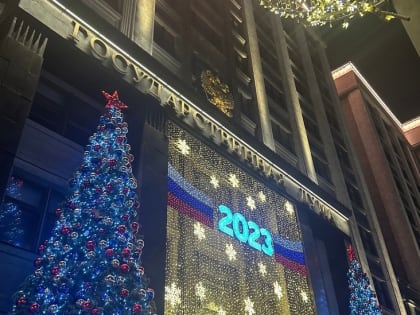 Профильный комитет Госдумы не поддержал введение запрета на аборты в частных клиниках