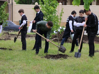 Международная акция "Сад памяти" начнется с 18 марта по всей стране