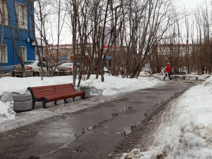 Мокрый снег и ветер ожидаются в Мурманской области