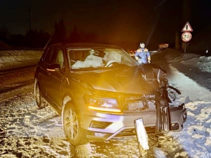 На дороге Апатиты-Кировск водитель столкнулся с лосем