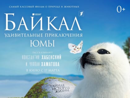 В Мурманске наградили победителей кинофестиваля «Северный Характер: green screen»