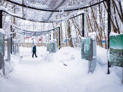 Снежная и ветреная погода ожидается в понедельник в Кольском Заполярье
