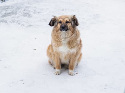 Осадков станет меньше в Мурманской области