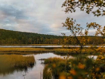 Погода в Мурманске: Утренние данные и прогноз на день