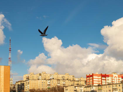 До 13 градусов прогреется воздух в Мурманской области