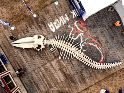 Развитие арктического туризма обсудят участники деловой программы фестиваля «Териберка»