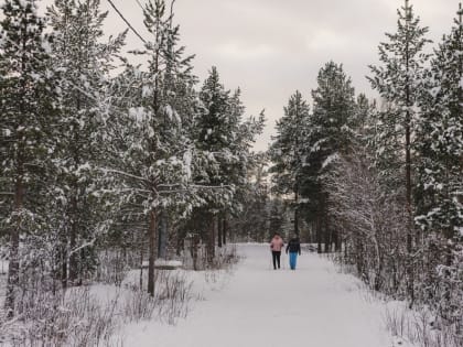 У мурманчан появился новый маршрут для прогулок