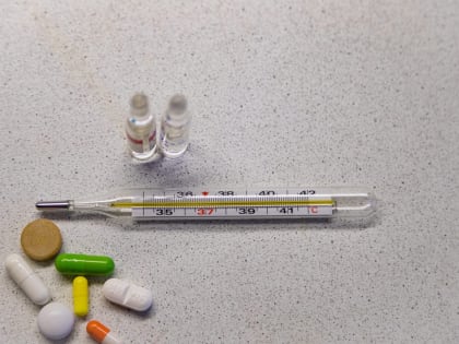 В Мурманске зафиксирован высокий уровень заболеваемости с превышением эпидпорога