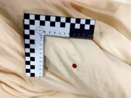 В Коле судят пару убийц