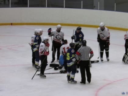 Оленегорский хоккеист дисквалифицирован за драку на поле