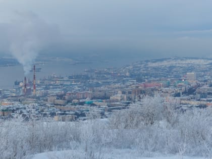 Мурманская область занимает 3 место по СЗФО по объему экспорта