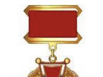 Знаком отличия «За заслуги перед Мурманской областью» наградят депутата ГосДумы Кусайко Татьяну